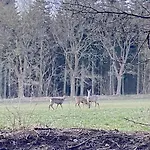 Stilvolles Mit Saunazugang * Burg (Dithmarschen)