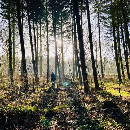 Stilvolles Mit Saunazugang *