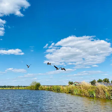 Apartment Stilvolles Mit Saunazugang