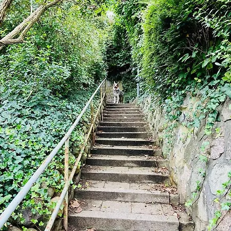 Apartment Stilvolles Mit Saunazugang *