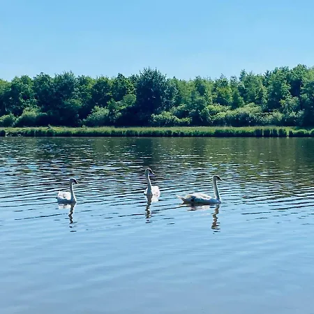 Stilvolles Mit Saunazugang