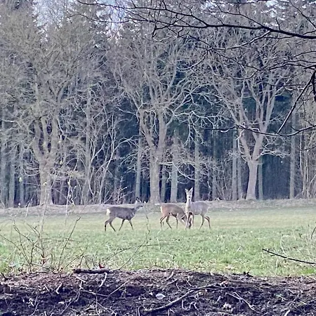 Stilvolles Mit Saunazugang * Burg (Dithmarschen)